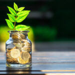 Pote de investimento esg